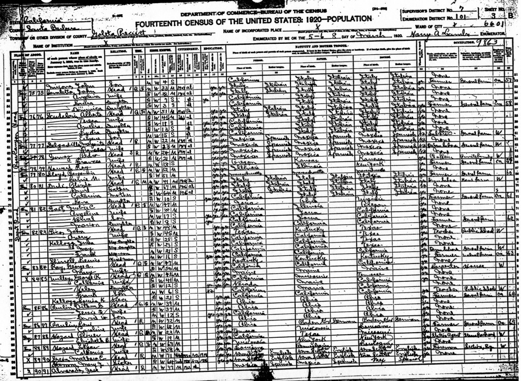 1920 Census 3
