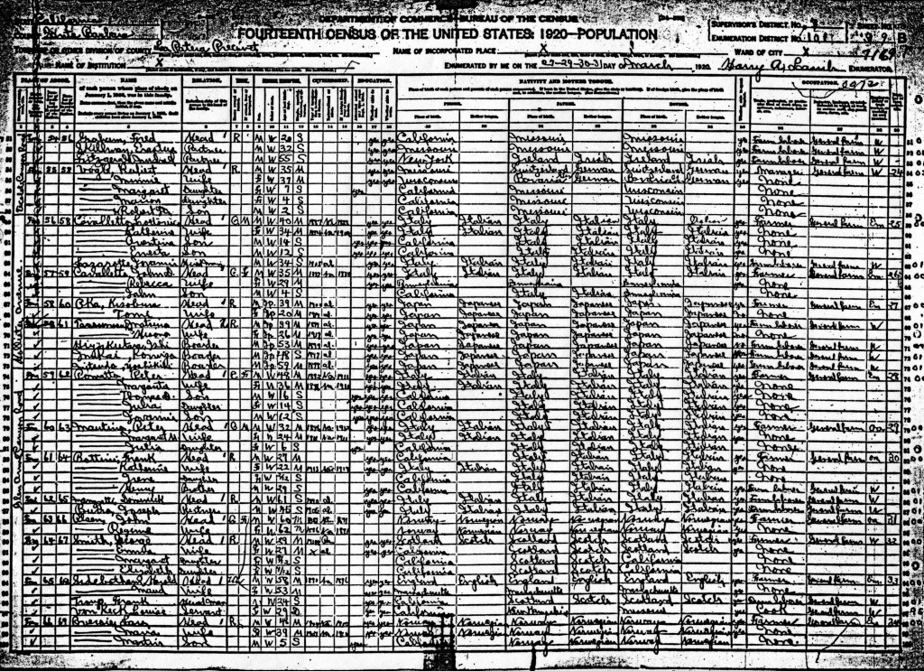 1920 Census 5